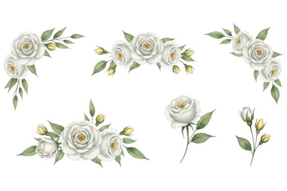 White Rose Watercolor Collection: Graphics & Illustrations